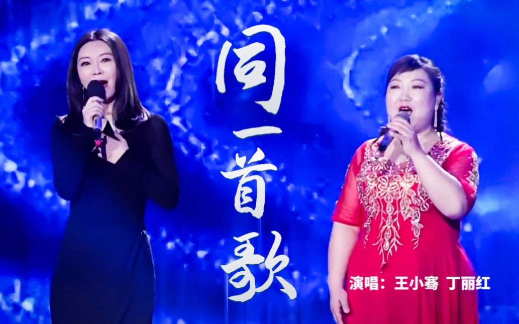主持人唱金曲|王小骞,丁丽红 演唱《同一首歌》