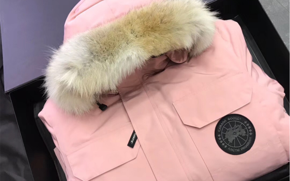 某田买的粉色加拿大鹅,大家觉得怎么样