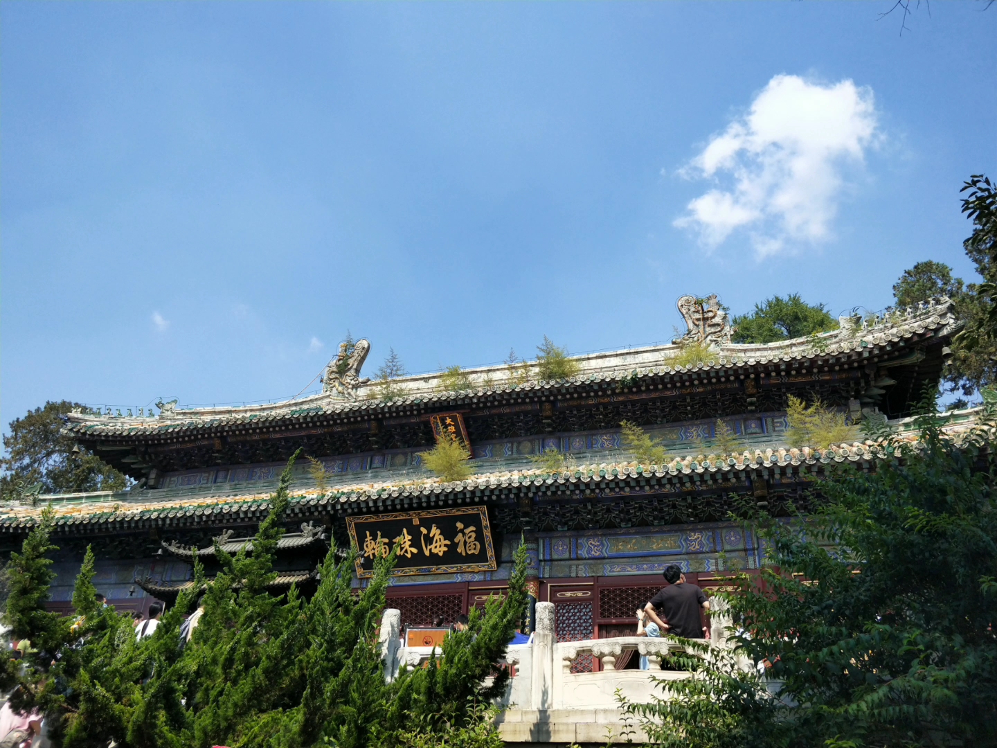 潭柘寺 大雄宝殿殿顶的草有多高
