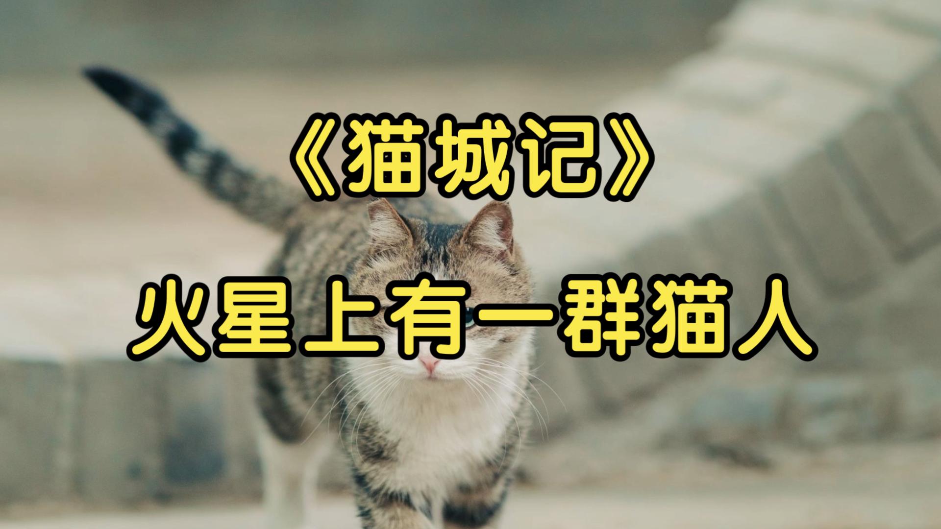 [图]猫城记|一眼看见猫城，不知道为什么我心中形成了一句话：这个文明快要灭绝！