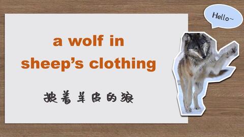 怎么背狼的英语单词wolf 哔哩哔哩 怎么背狼的英语单词wolf 哔哩哔哩