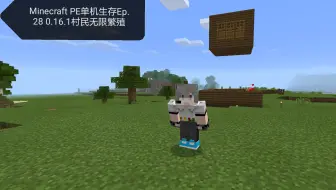 村民断头台 Minecraft Pe 哔哩哔哩 Bilibili