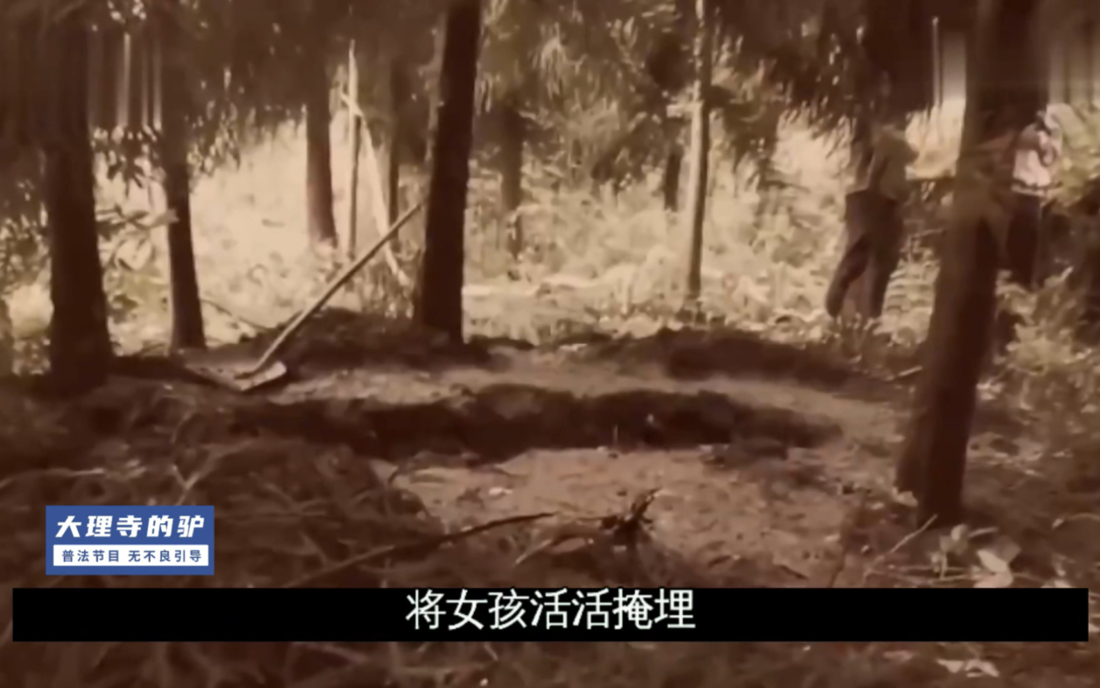 这个女子被关押折磨5小时,最终坠楼身亡