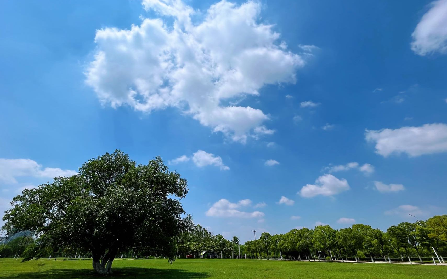 《流行的雲》