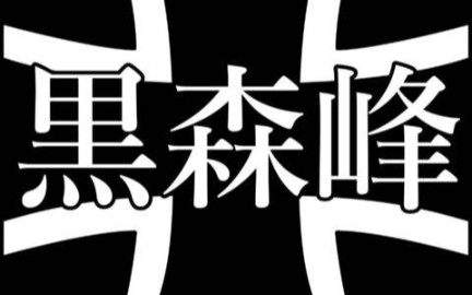 游戏mod,少战,黑森峰