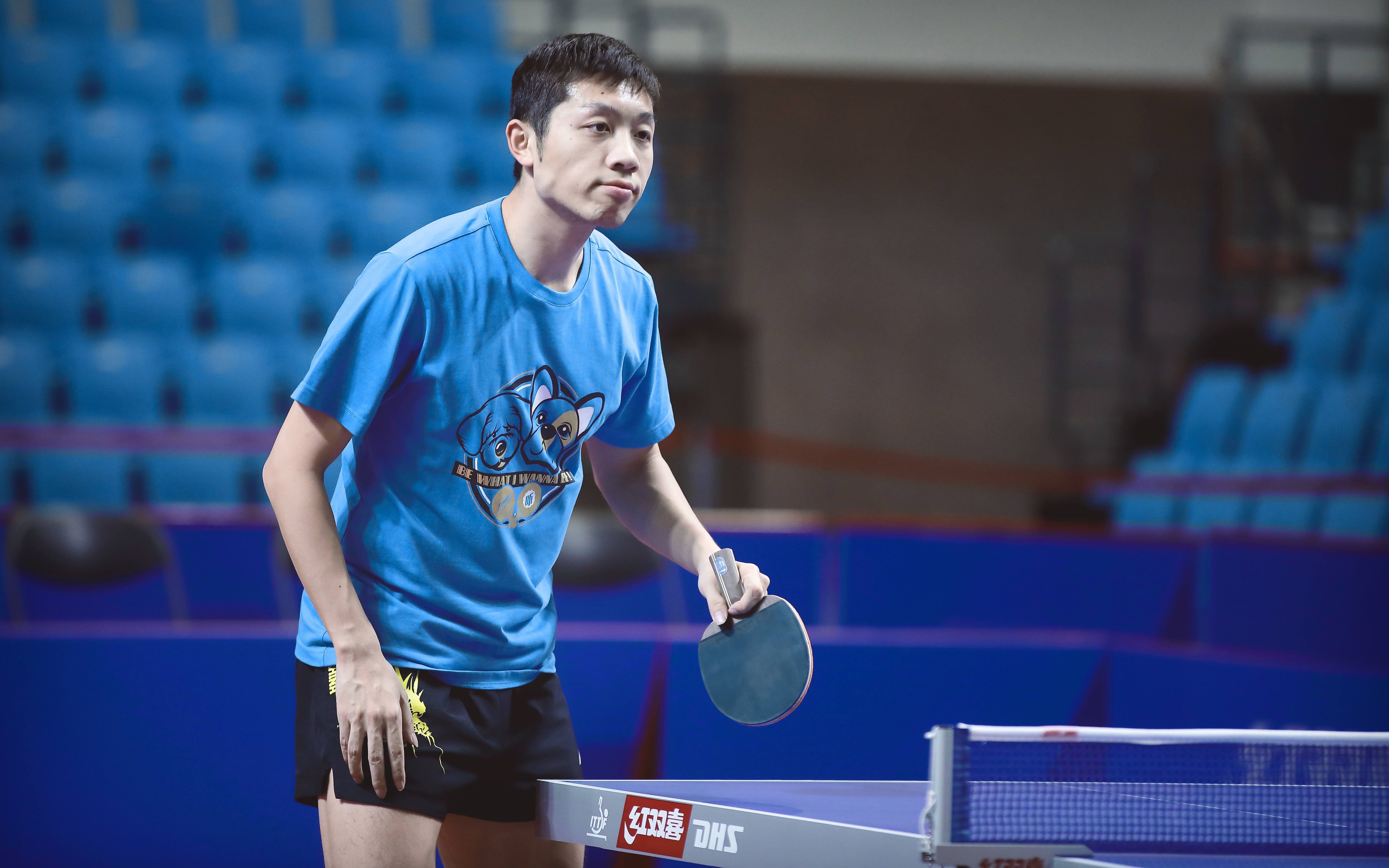 许昕关于网友们给p的表情包,大蟒本人做出了官方回应