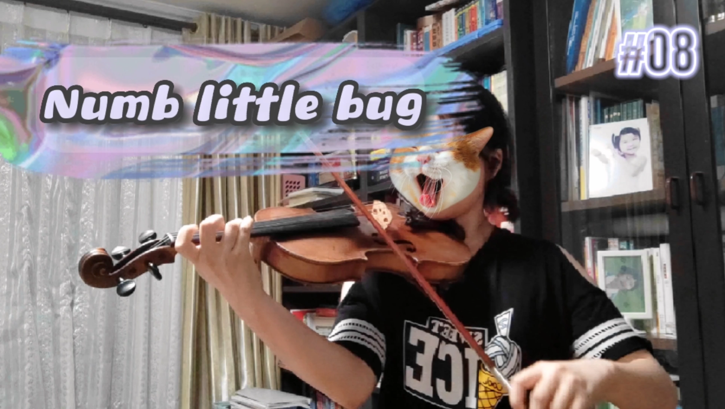 [图]《Numb little bug》👀小提琴