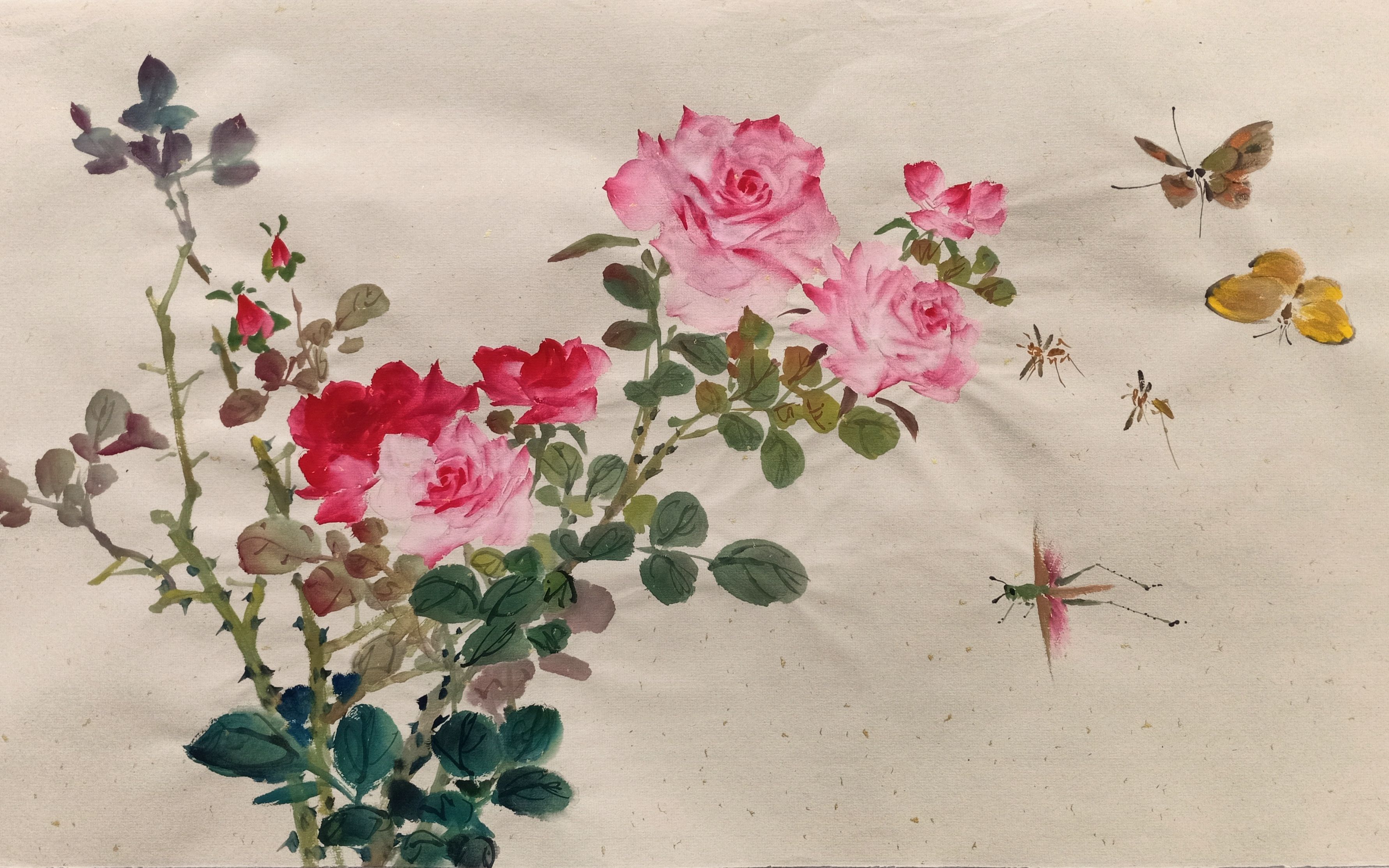 小写意月季花蝴蝶