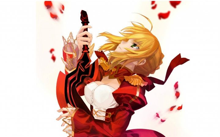 魏莲殳的300英雄日常 红saber 尼禄_哔哩哔哩_bilibili