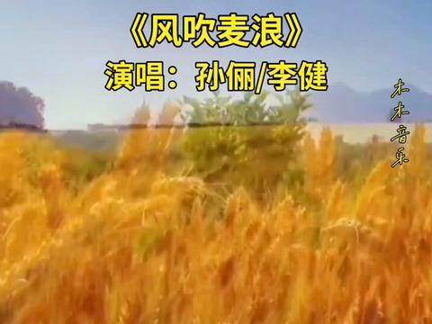 金色麦浪孙俪李健歌曲图片