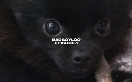 【中字/BLOO】[短片] BADBOYLOO EP.1哔哩哔哩bilibili