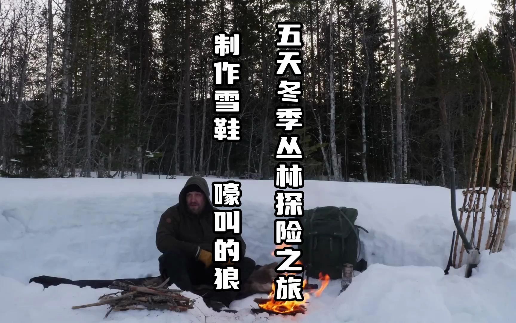 5 天冬季丛林探险之旅 制作雪鞋 嚎叫的狼 偏远的小屋生活哔哩哔哩bilibili