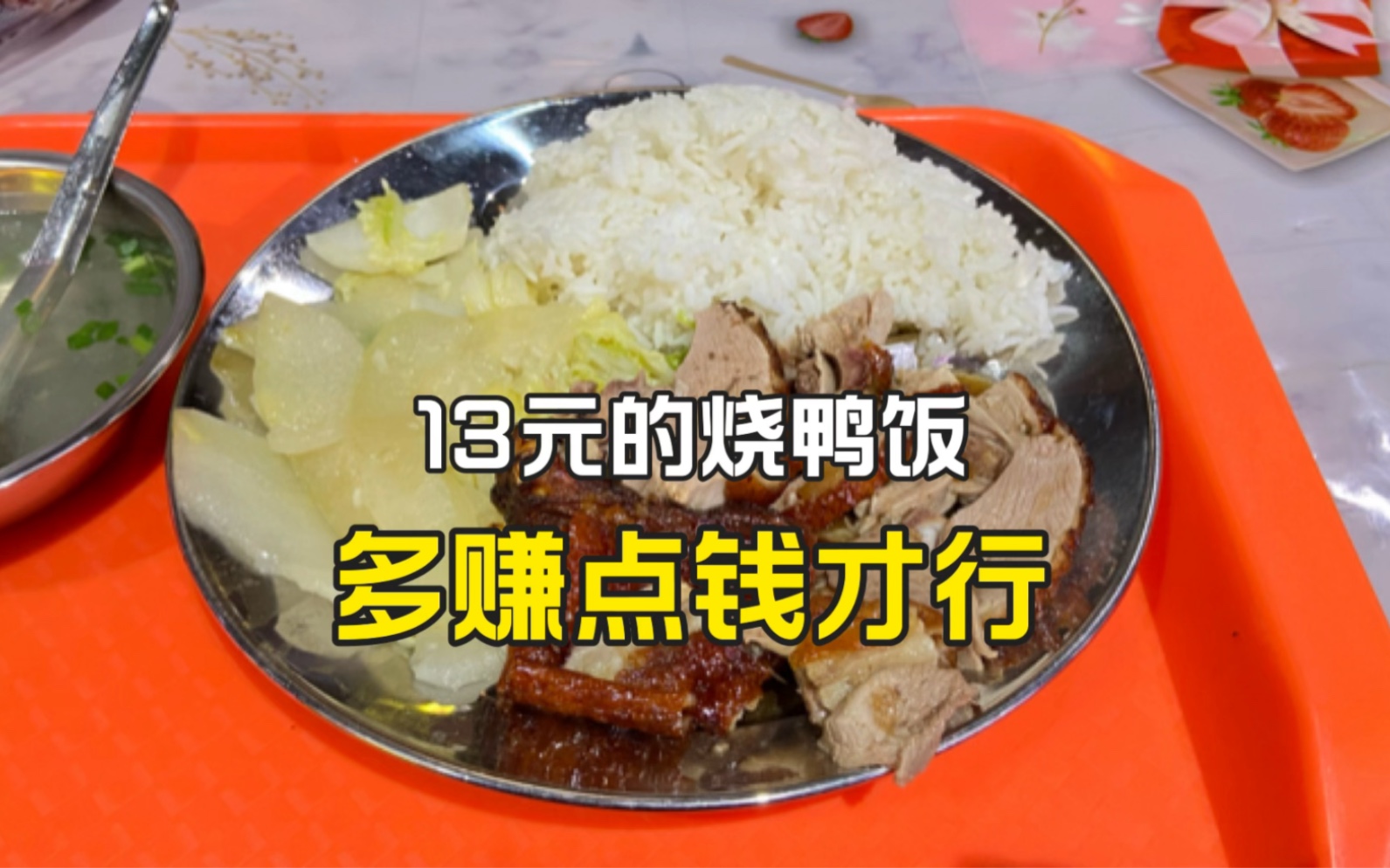 广西南宁,水街美食城烧鸭饭,13块钱一份,个人觉得贵了!哔哩哔哩bilibili