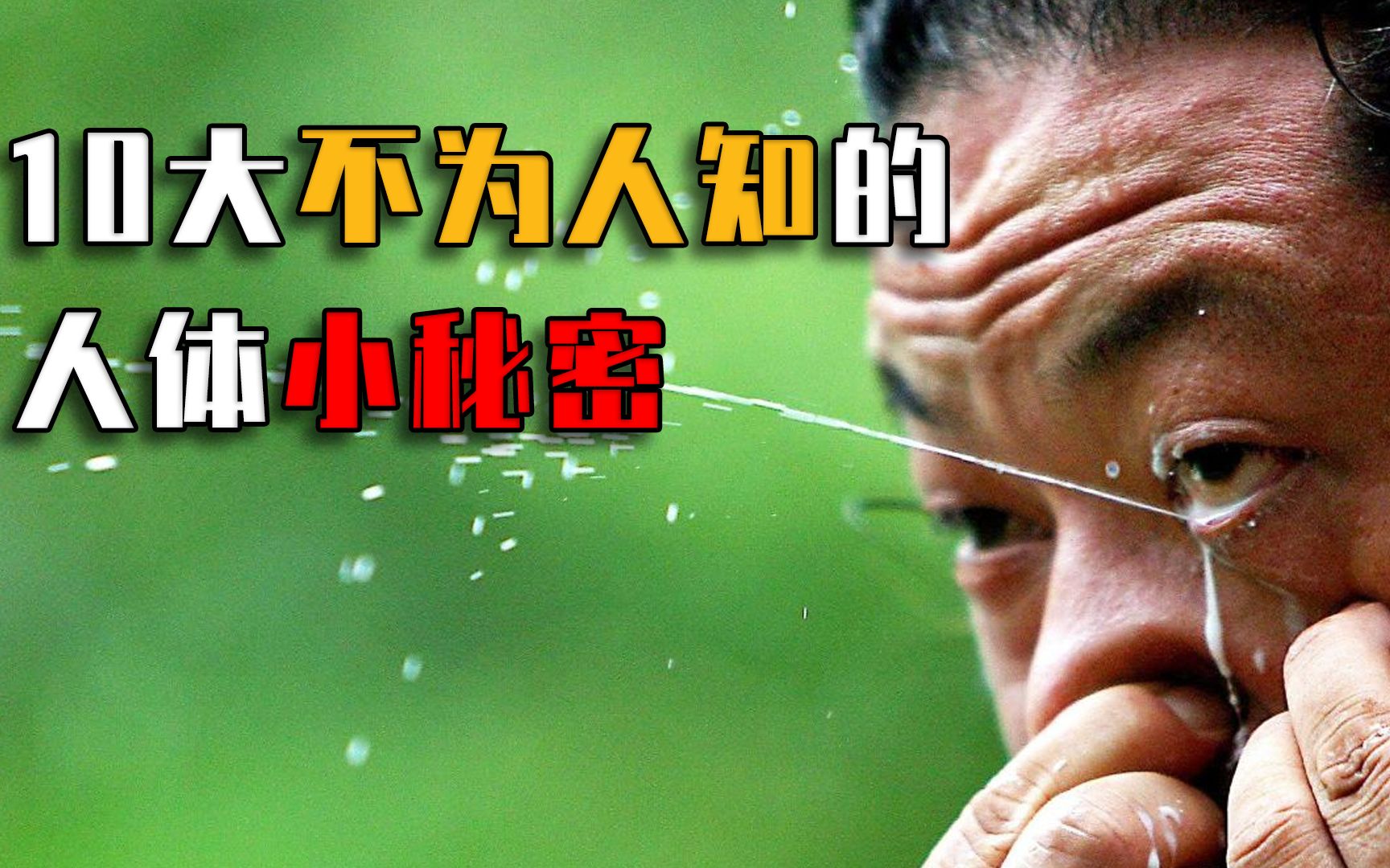 不为人知的秘密 B站