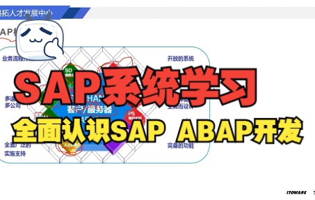 零基础学习SAP系统,SAP ABAP开发基础入门课程哔哩哔哩bilibili