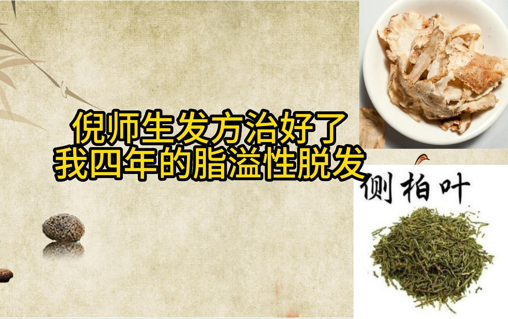 [图]侧柏叶当归生发方实践，倪师生发方彻底治好了我4年的脂溢性脱发（皮炎）