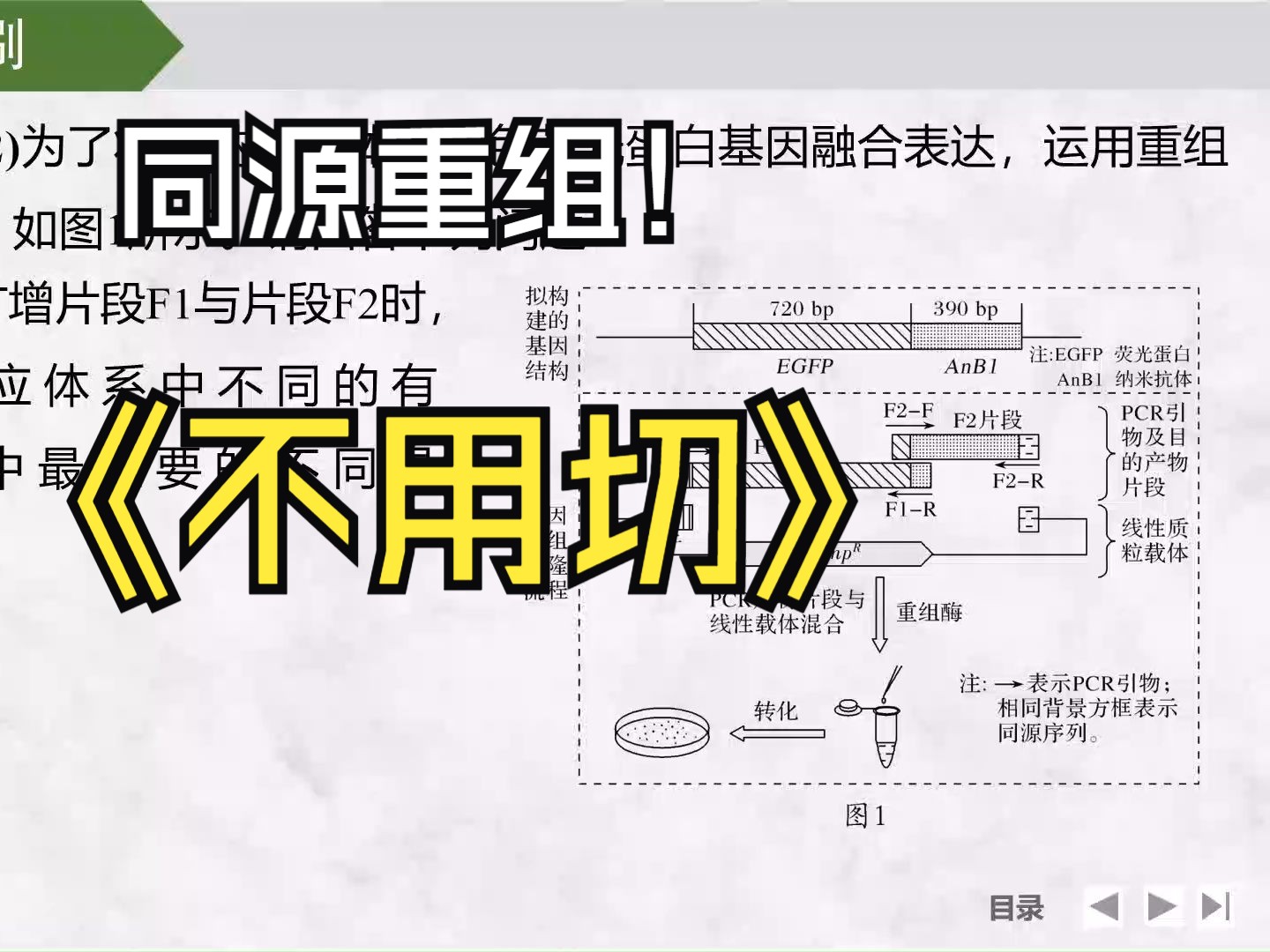 【高中生物真题分享】基因工程2023江苏卷 新高考全国通用新教材新课标网课哔哩哔哩bilibili