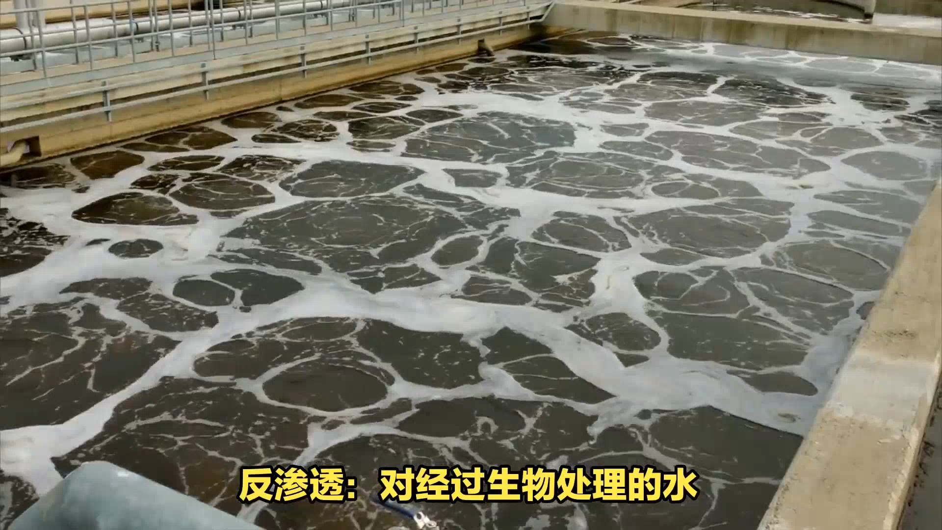 尿素废水处理方法