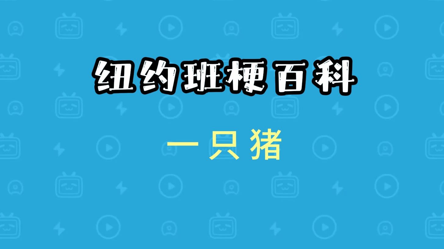 【纽约班梗百科】一只猪是什么意思?哔哩哔哩bilibili