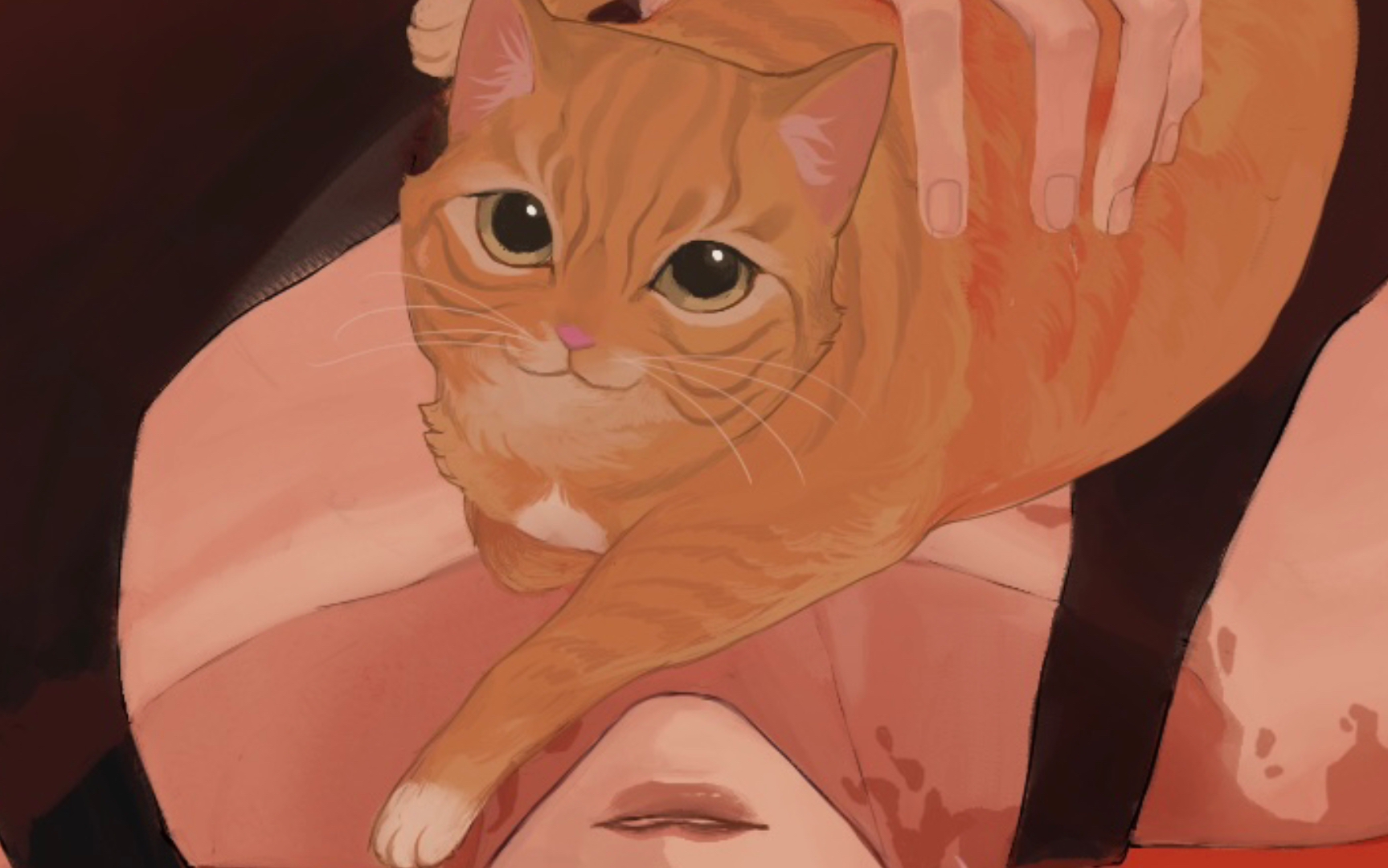 我的修猫咪