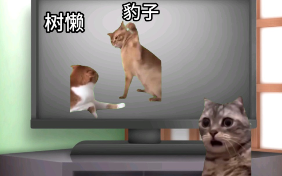 [图]【猫meme】小时候外公说他要给动物世界的豹子打电话的故事