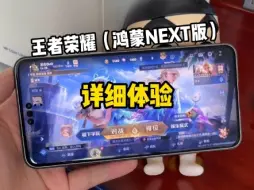 Download Video: 王者荣耀上架鸿蒙next，体验如何？