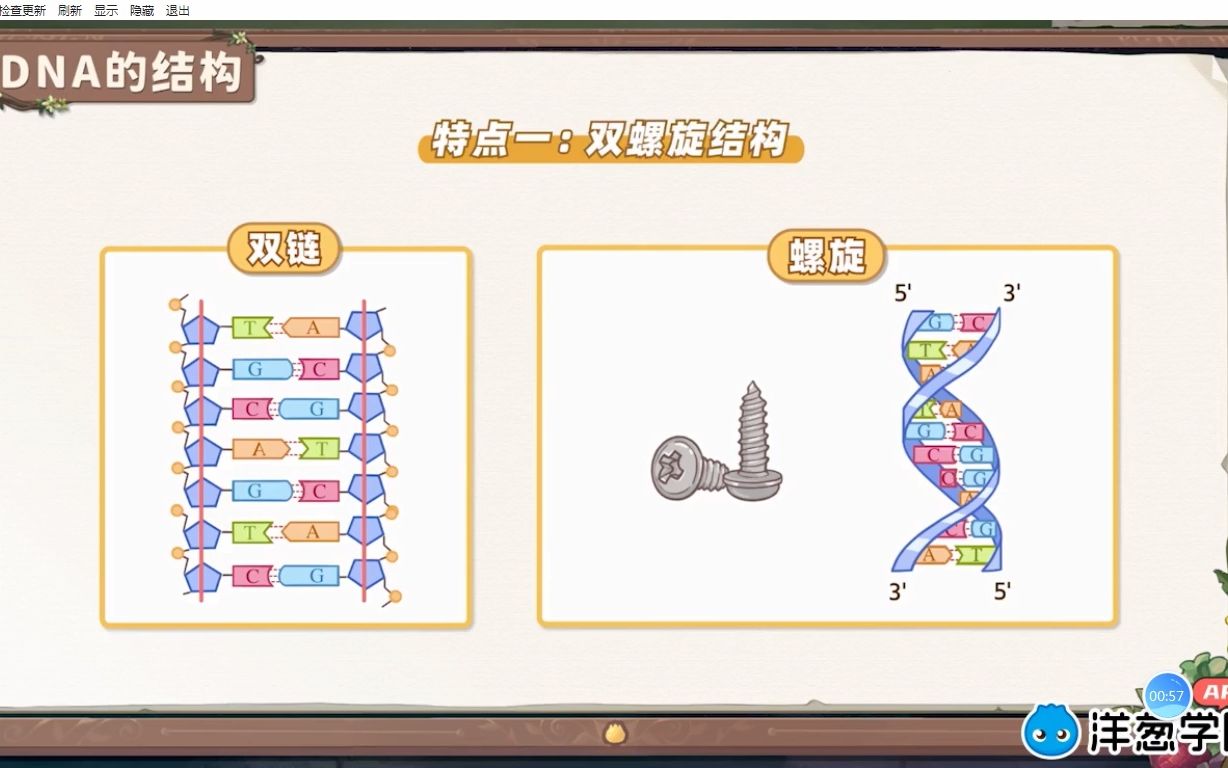 [图]DNA的结构生物