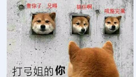 天弓亚历山德拉语音awsl 哔哩哔哩 Bilibili