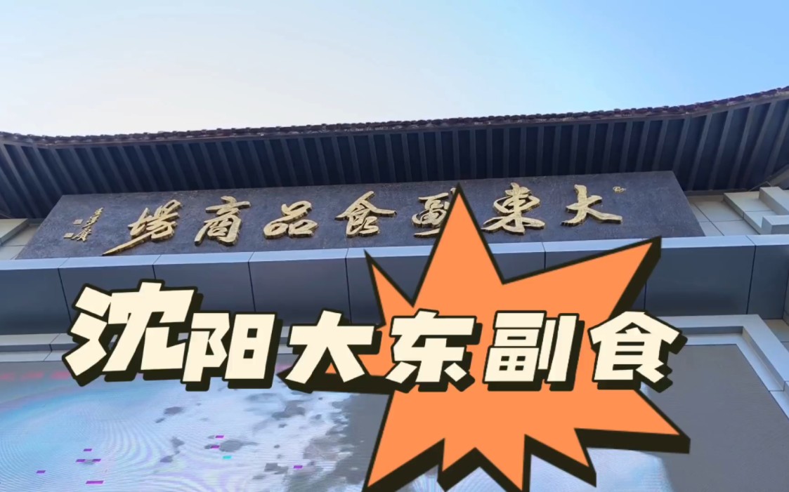 探店vlog-ep2| 沈阳中街| 大东副食| 金家冷面辣白菜