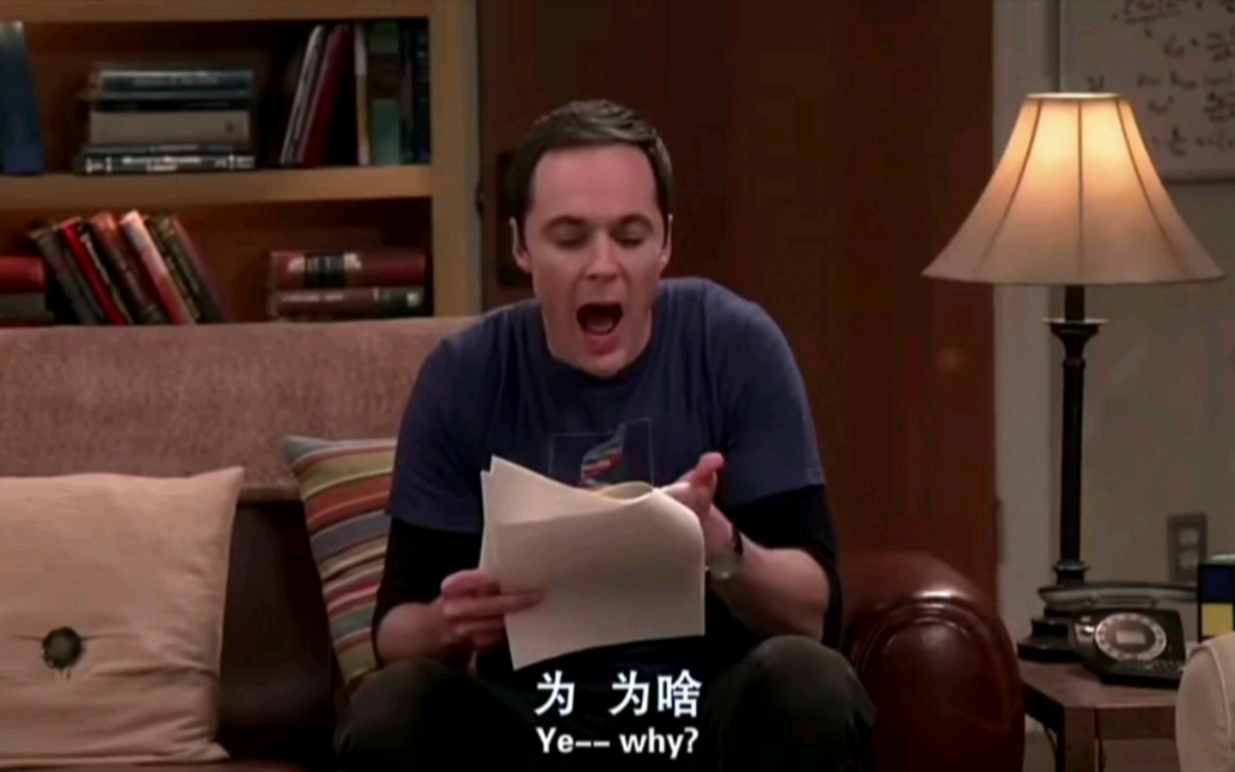 TBBT 耳朵嫉妒伯特研究成果,爸妈老婆欣赏表情包哔哩哔哩bilibili