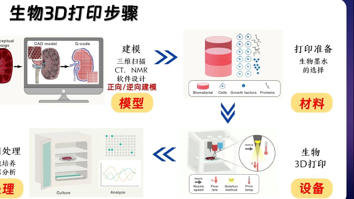 20240315药物化学生物学全国重点实验室代婧伟生物界的“神笔马良”一一生物3D打印哔哩哔哩bilibili