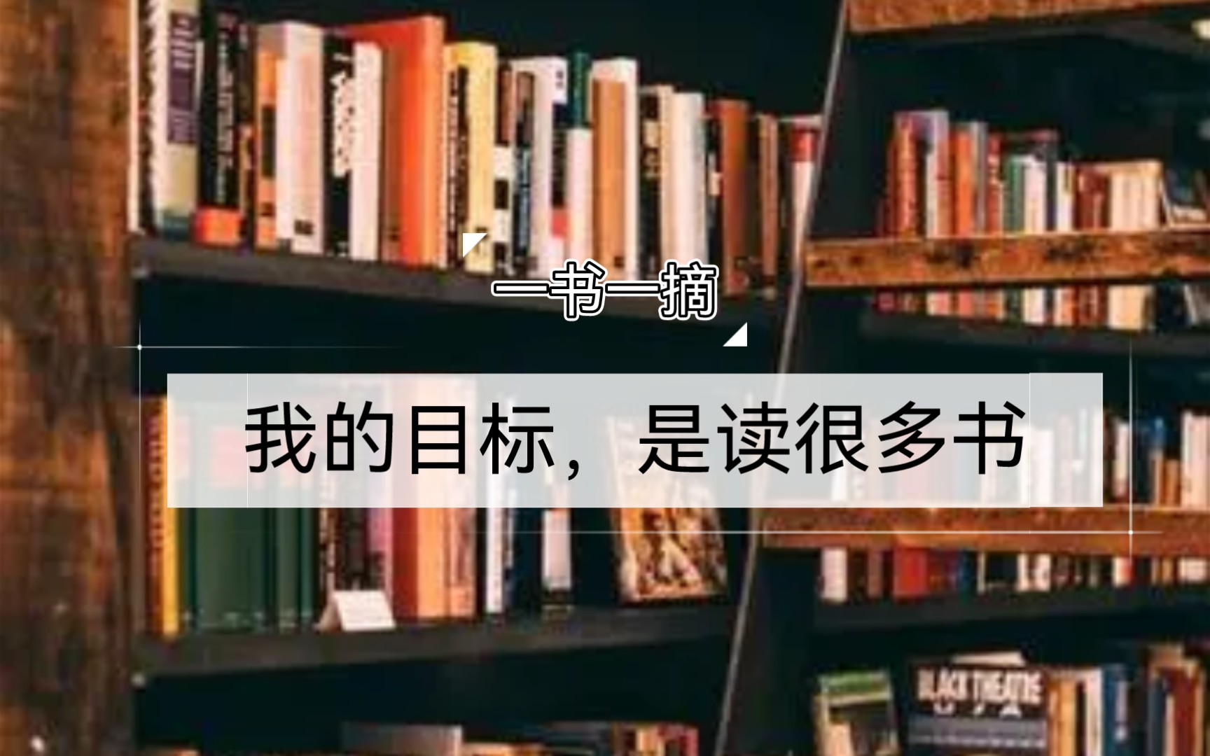 我的目标,是读很多书哔哩哔哩bilibili