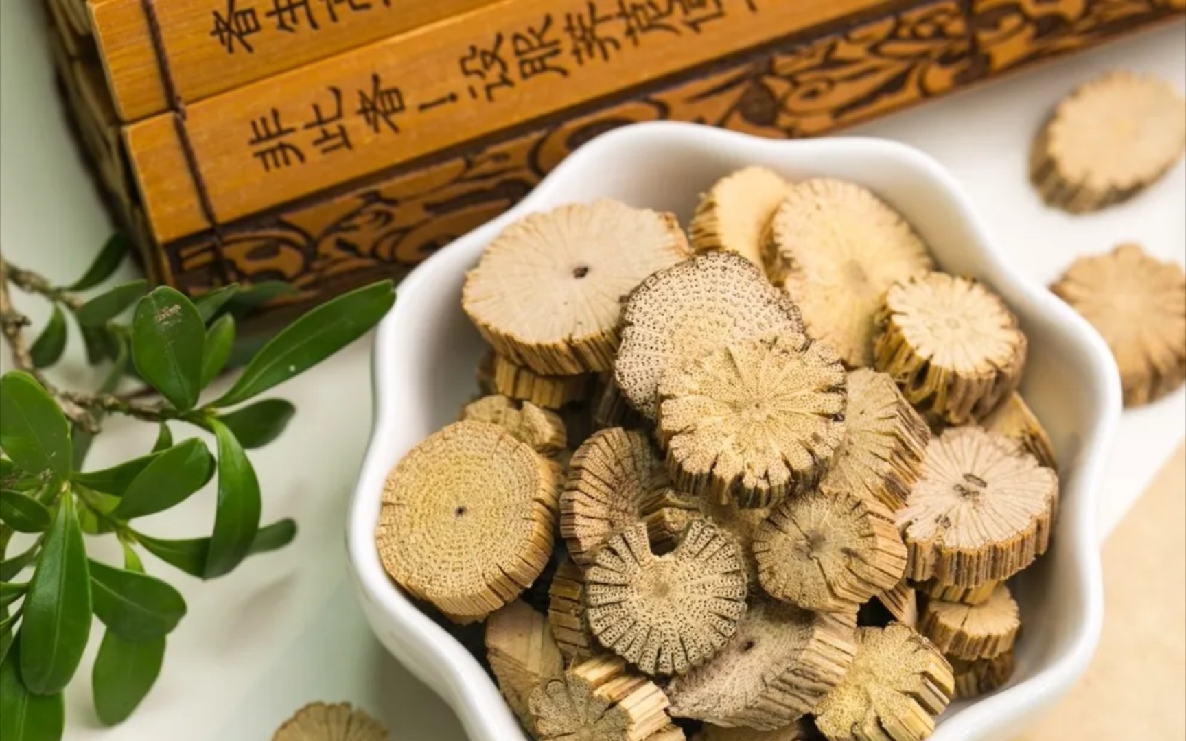 利水渗湿药 利湿退黄药|《一起学中医61中药篇》十八集