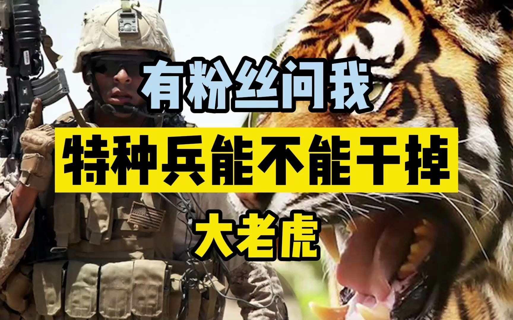 特种兵能不能打过大老虎哔哩哔哩bilibili