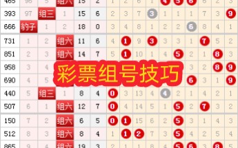 彩票组号技巧大合集1哔哩哔哩bilibili