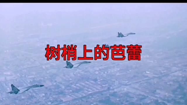 《树梢上的芭蕾》李劲作词,王路明作曲,梁俊鸽演唱.