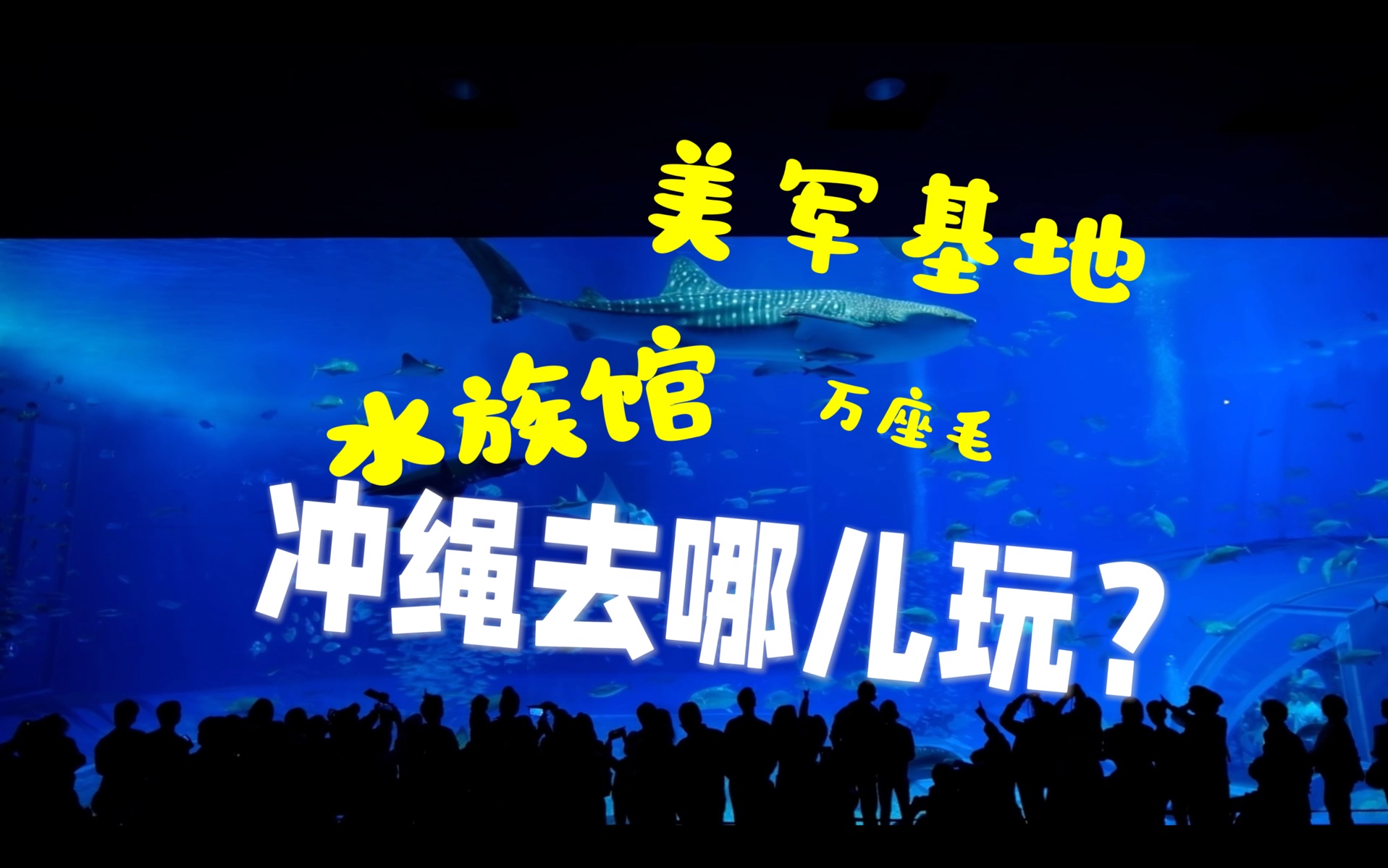 冲绳美丽海水族馆 世界最大水族馆/万座毛/古宇利/看看美军基地哔哩哔哩bilibili