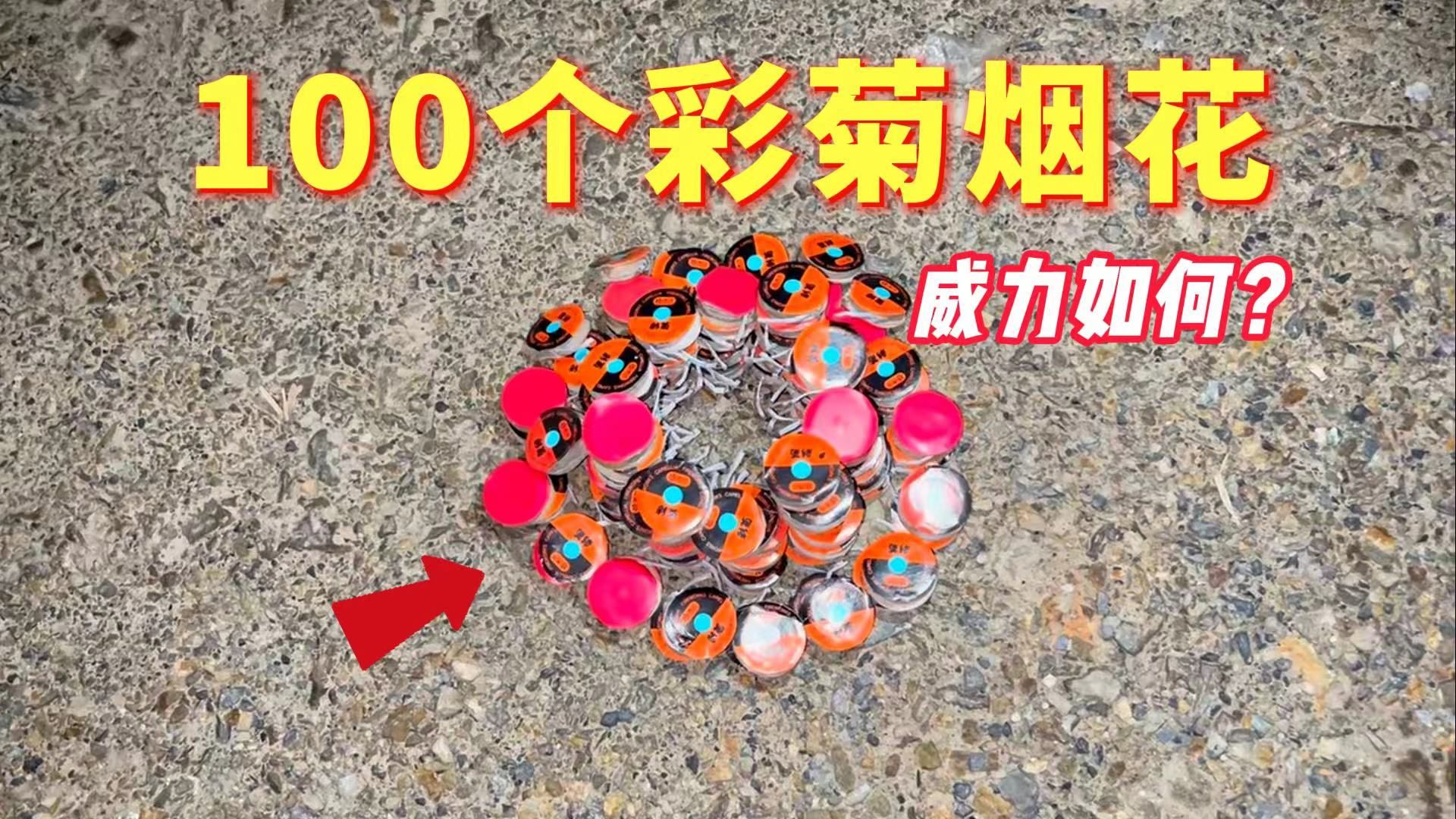 同时点燃100个彩菊烟花,它的威力究竟如何呢?哔哩哔哩bilibili