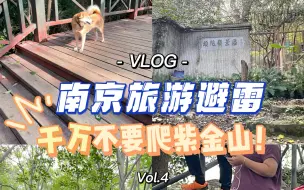 Gua‘s Vlog｜来南京千万不要爬紫金山！