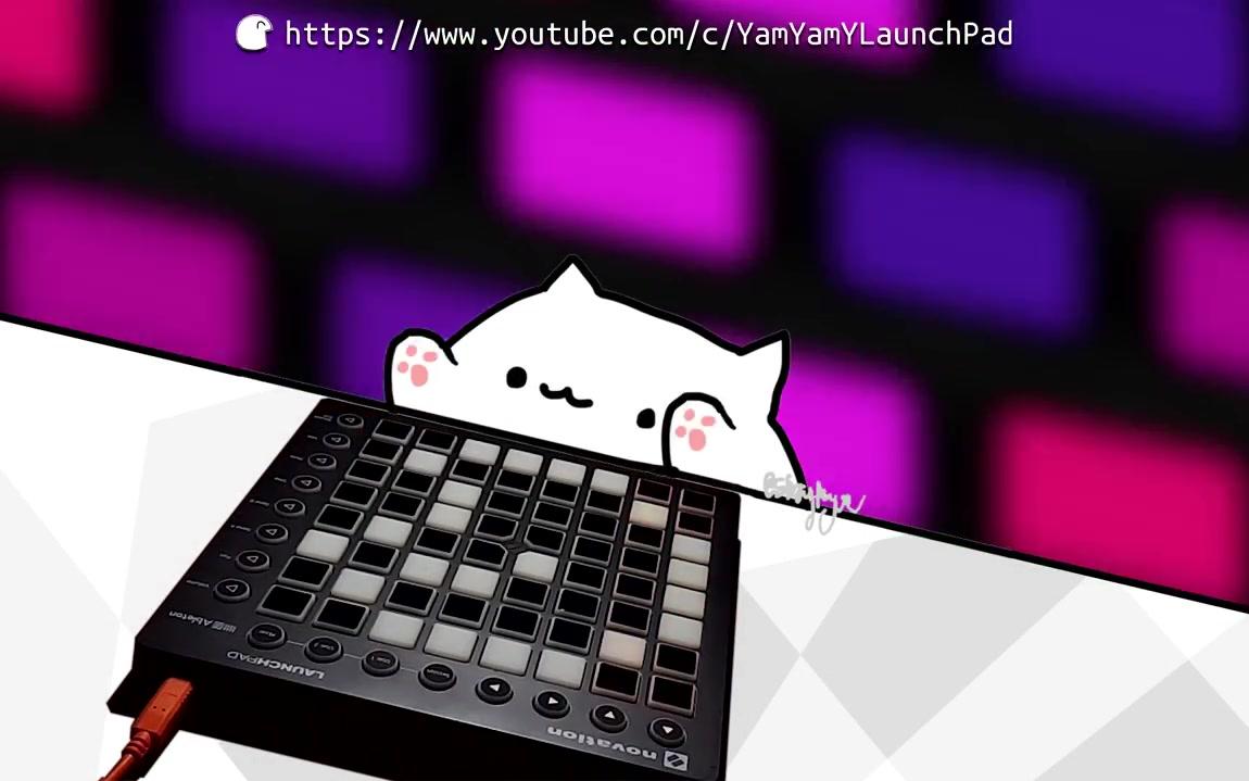 [图]最近很火的Bongo Cat Memes 《Animals X Nyan Cat》