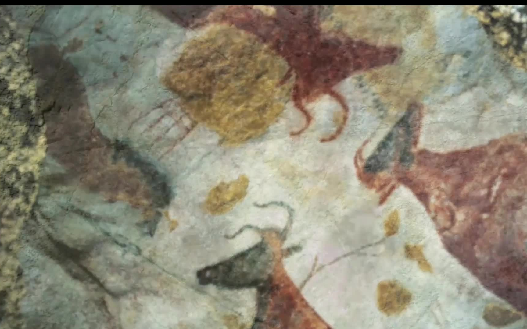 托福背景知识101【9】TPO 4 Cave Art in Europe  Cave Art 101哔哩哔哩bilibili