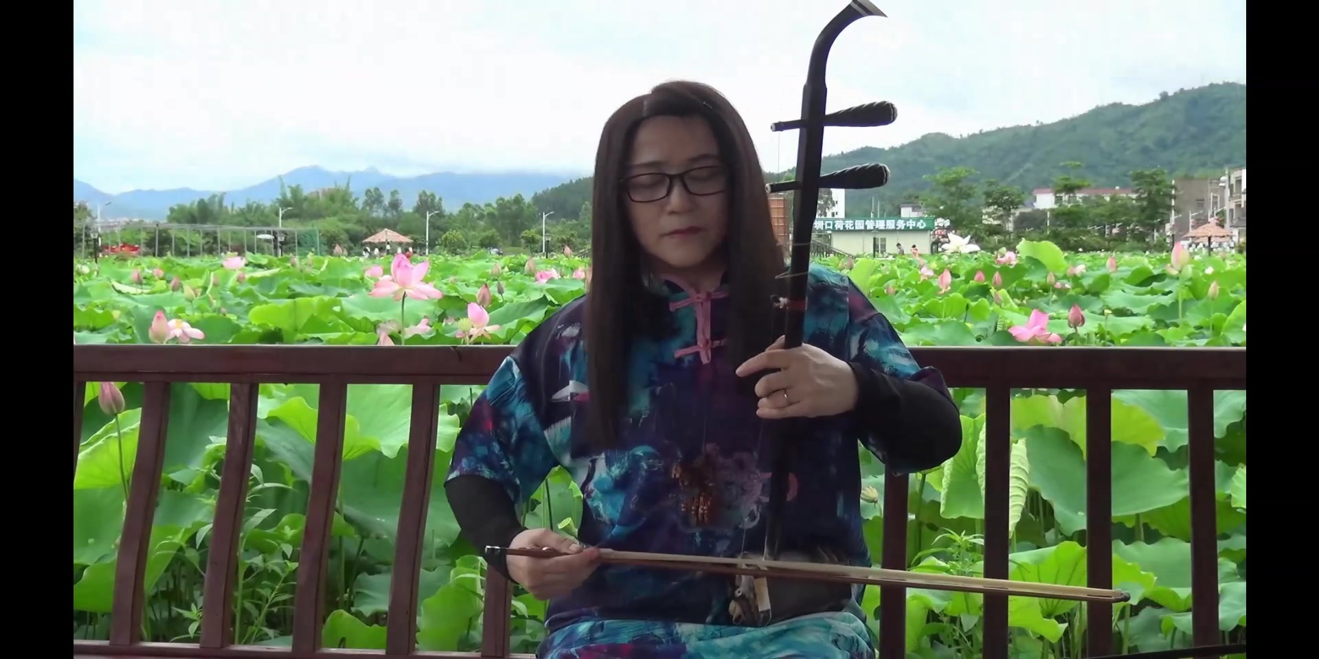 陆河圳口荷花池—李淼二胡《菊花台》_哔哩哔哩 (゜-゜)つロ 干杯