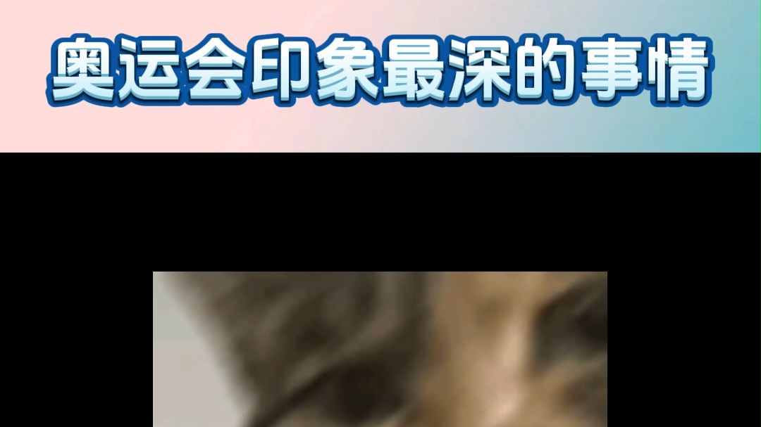 看完奥运会脑子里全是小红猪