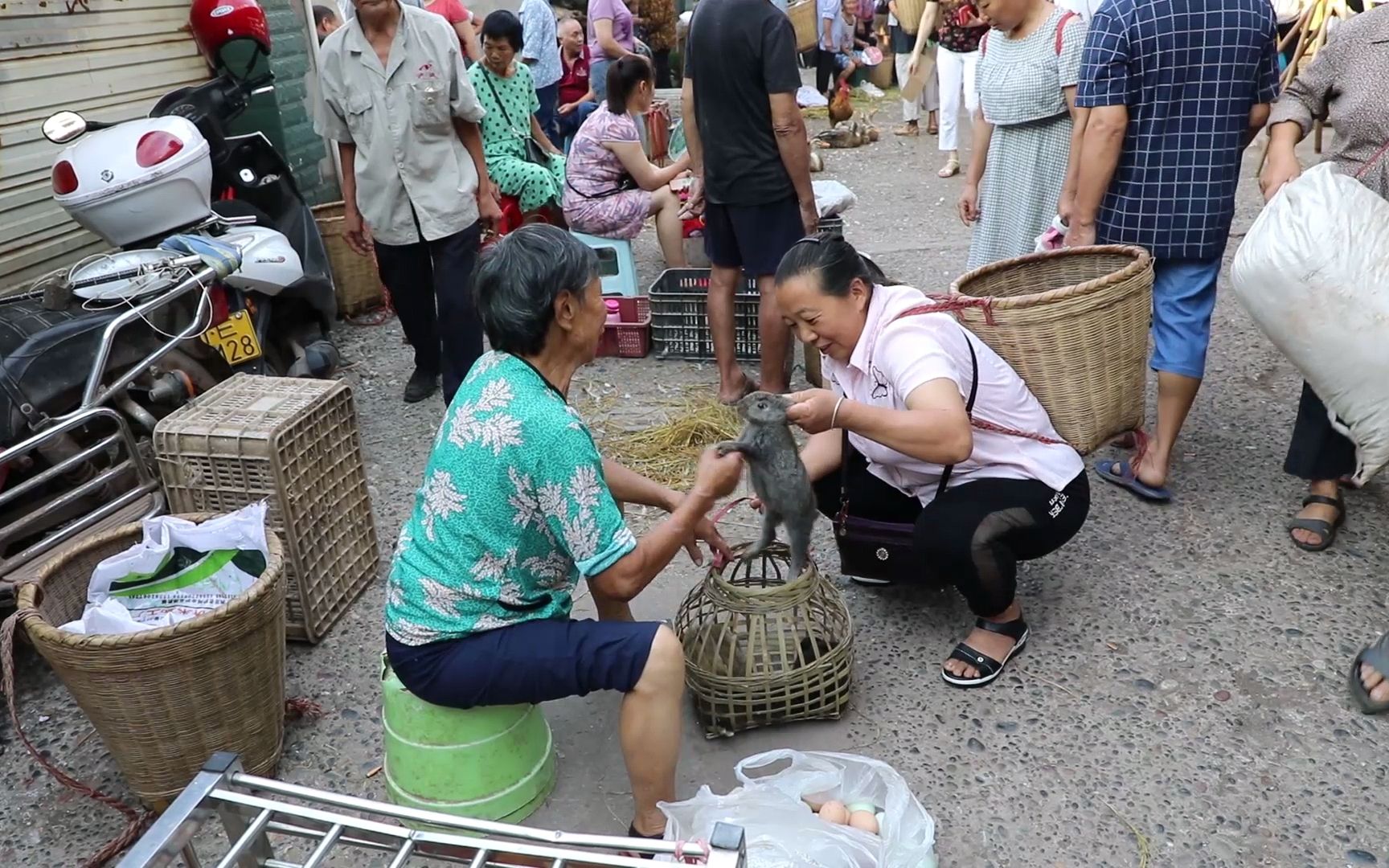 他乡纵有当头月,不及家乡一盏灯.此刻,你是否想回来?回到家乡,回到最初的那个小镇,看看长辈,见见伙伴,聊聊童年趣事,说说成长的艰辛.哔哩...