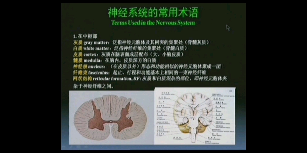 临床诊疗之 神经系统的常用术语哔哩哔哩bilibili