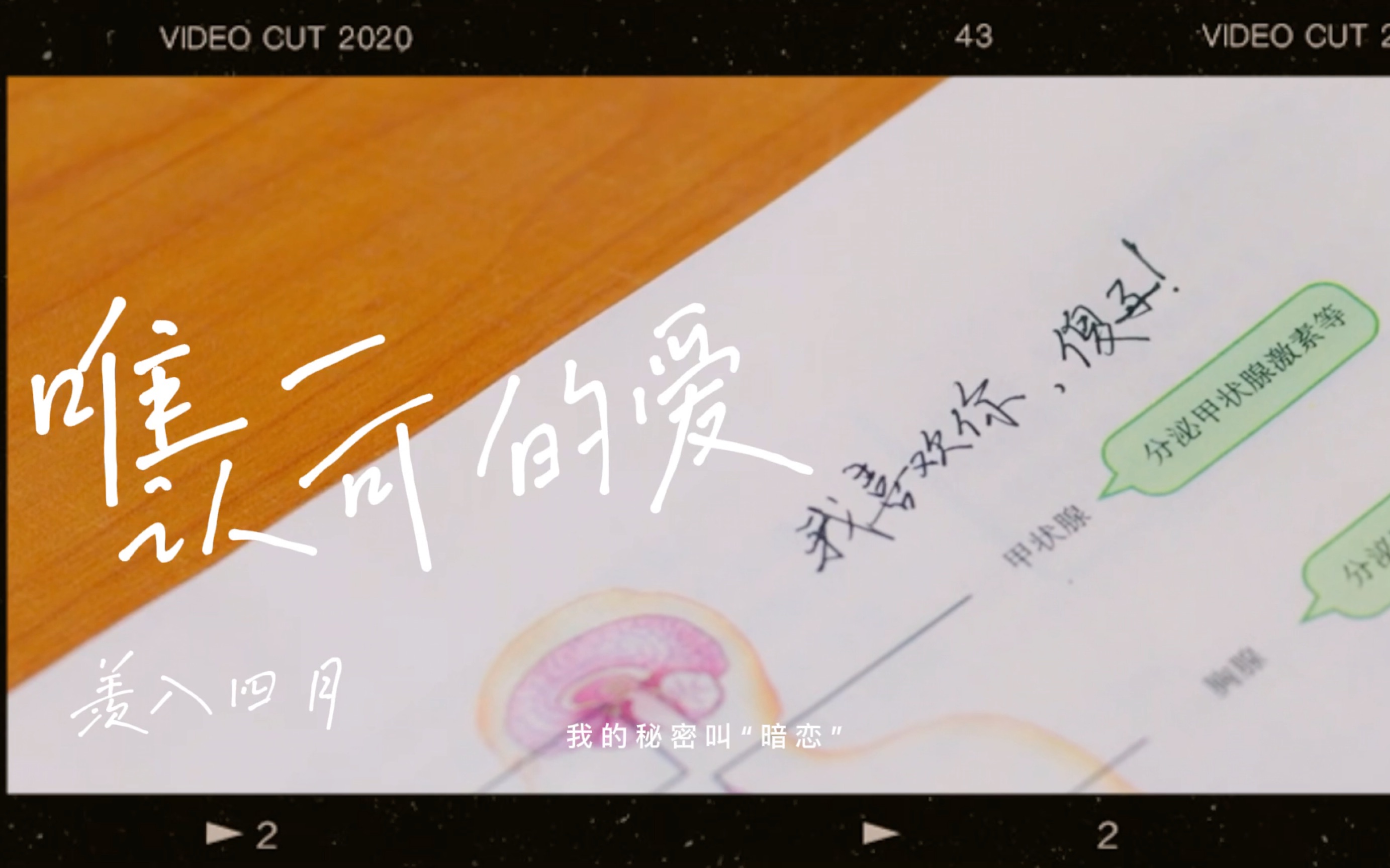 羡入四月|唯一认可的爱 周斯越 x 丁羡 陳哲遠 x 徐夢潔