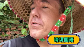 海南的生活very古德！