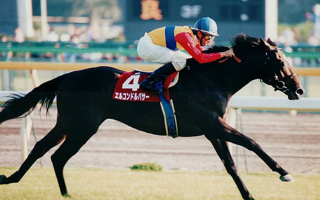 1997年 神鹰 三岁新马战_哔哩哔哩_bilibili