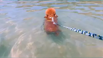 这个夏天想和你环游世界
