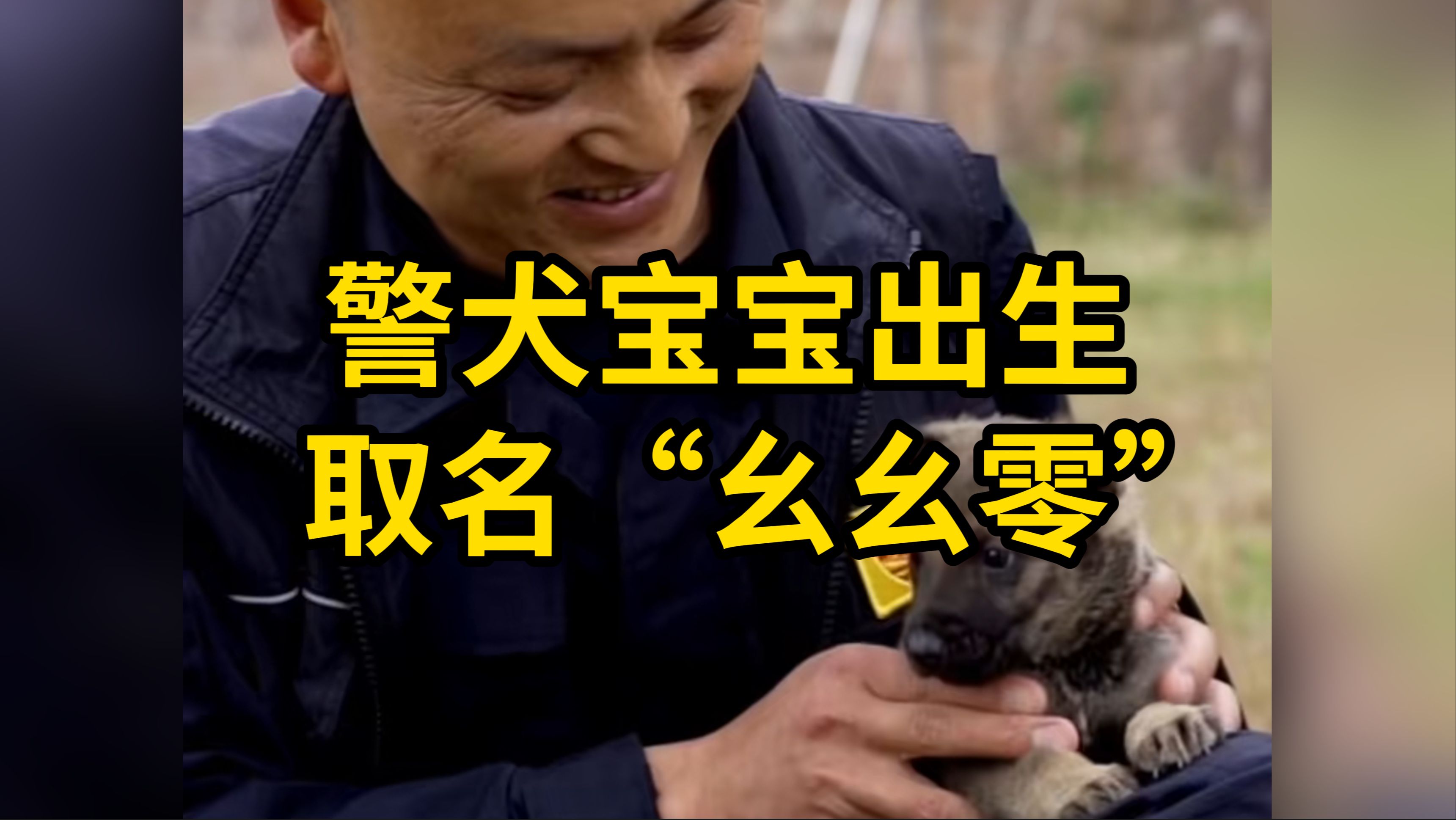 警犬宝宝出生,取名“幺幺零”哔哩哔哩bilibili